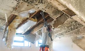 Mold Remediation for Vacation Homes in Sardinia, OH